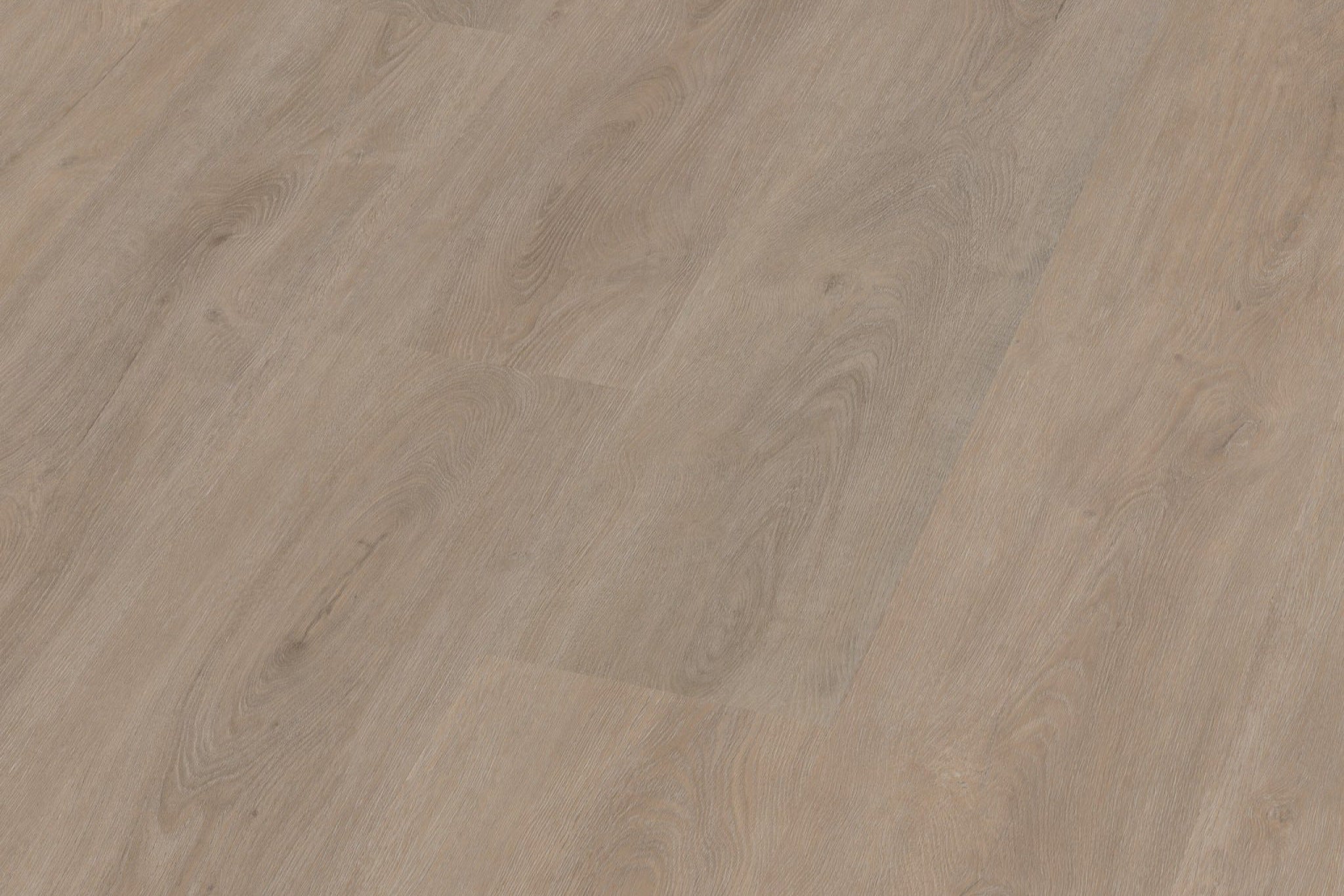 Ambiant Robusto Light Oak PVC click 10 DB