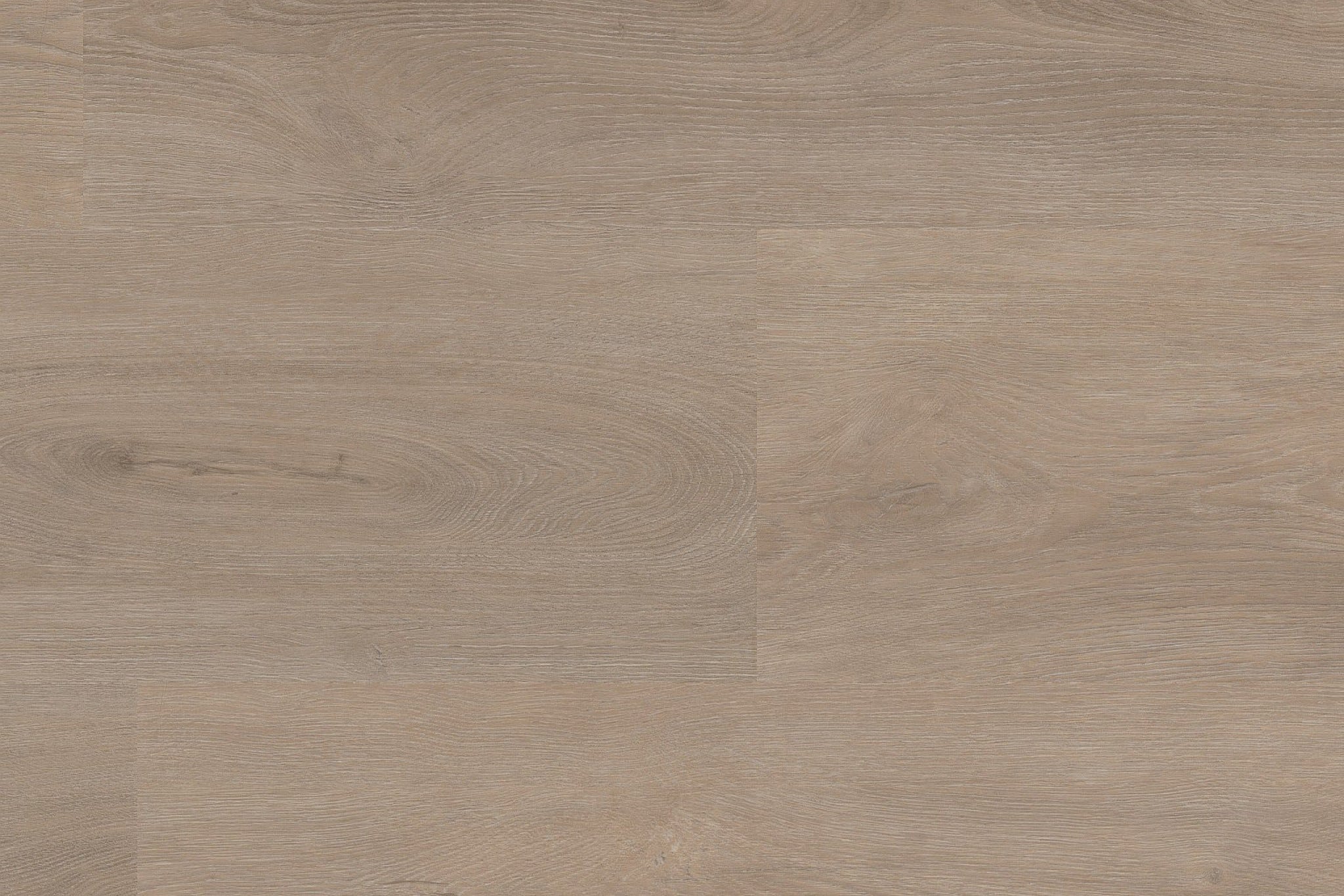 Ambiant Robusto Light Oak PVC click 10 DB